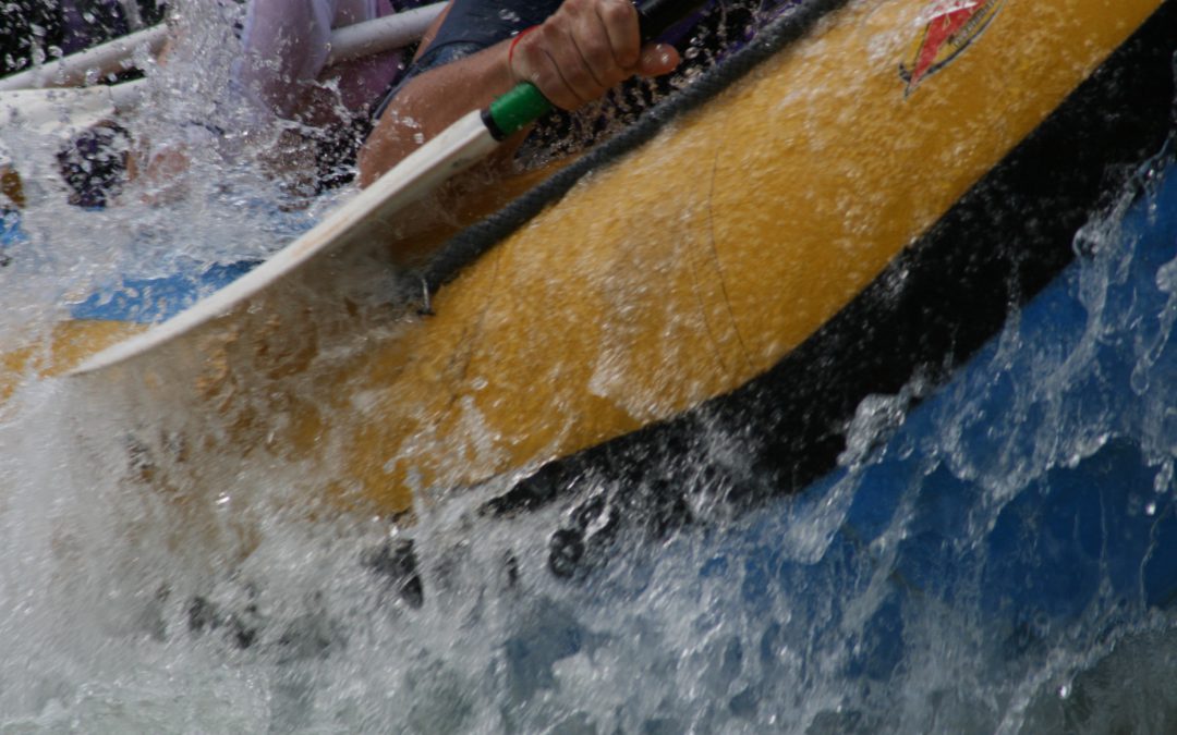 arc Pretoria on the Ash River